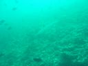 DSC00207.JPG
