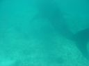 DSC00209.JPG