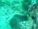 DSC00214.JPG