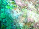 DSC00215.JPG
