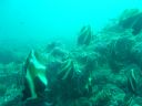 DSC00216.JPG