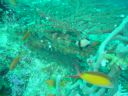 Dateiname=DSC00227.JPG
Dateigröße=473KB
Abmessungen: 1024x768
hinzugefügt am: 05. August 2014 DSC00227.JPG