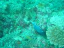 Dateiname=DSC00228.JPG
Dateigröße=497KB
Abmessungen: 1024x768
hinzugefügt am: 05. August 2014 DSC00228.JPG
