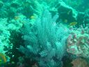 Dateiname=DSC00254.JPG
Dateigröße=466KB
Abmessungen: 1024x768
hinzugefügt am: 05. August 2014 DSC00254.JPG