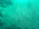 Dateiname=DSC00268.JPG
Dateigröße=506KB
Abmessungen: 1024x768
hinzugefügt am: 05. August 2014 DSC00268.JPG