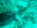 Dateiname=DSC00271.JPG
Dateigröße=520KB
Abmessungen: 1024x768
hinzugefügt am: 05. August 2014 DSC00271.JPG