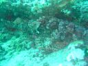 Dateiname=DSC00277.JPG
Dateigröße=524KB
Abmessungen: 1024x768
hinzugefügt am: 05. August 2014 DSC00277.JPG