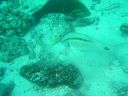 Dateiname=DSC00281.JPG
Dateigröße=463KB
Abmessungen: 1024x768
hinzugefügt am: 05. August 2014 DSC00281.JPG