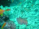 Dateiname=DSC00282.JPG
Dateigröße=488KB
Abmessungen: 1024x768
hinzugefügt am: 05. August 2014 DSC00282.JPG