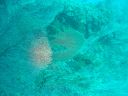 Dateiname=DSC00285.JPG
Dateigröße=462KB
Abmessungen: 1024x768
hinzugefügt am: 05. August 2014 DSC00285.JPG