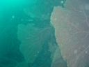 Dateiname=DSC00314.JPG
Dateigröße=457KB
Abmessungen: 1024x768
hinzugefügt am: 05. August 2014 DSC00314.JPG