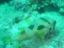 Dateiname=DSC00315.JPG
Dateigröße=508KB
Abmessungen: 1024x768
hinzugefügt am: 05. August 2014 DSC00315.JPG