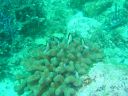 Dateiname=DSC00317.JPG
Dateigröße=471KB
Abmessungen: 1024x768
hinzugefügt am: 05. August 2014 DSC00317.JPG
