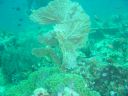 Dateiname=DSC00319.JPG
Dateigröße=518KB
Abmessungen: 1024x768
hinzugefügt am: 05. August 2014 DSC00319.JPG
