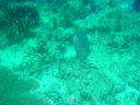 Dateiname=DSC00320.JPG
Dateigröße=512KB
Abmessungen: 1024x768
hinzugefügt am: 05. August 2014 DSC00320.JPG