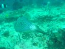 Dateiname=DSC00321.JPG
Dateigröße=442KB
Abmessungen: 1024x768
hinzugefügt am: 05. August 2014 DSC00321.JPG
