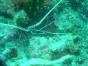 Dateiname=DSC00324.JPG
Dateigröße=478KB
Abmessungen: 1024x768
hinzugefügt am: 05. August 2014 DSC00324.JPG