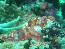 Dateiname=DSC00329.JPG
Dateigröße=512KB
Abmessungen: 1024x768
hinzugefügt am: 05. August 2014 DSC00329.JPG