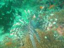Dateiname=DSC00330.JPG
Dateigröße=473KB
Abmessungen: 1024x768
hinzugefügt am: 05. August 2014 DSC00330.JPG