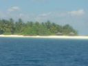 DSC00419.JPG
