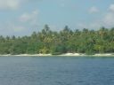 DSC00420.JPG