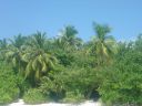 DSC00422.JPG