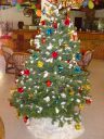 DSC00425.JPG