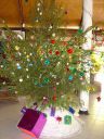 DSC00426.JPG