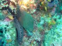 DSC00433.JPG