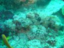 DSC00435.JPG