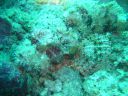 DSC00436.JPG