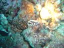 DSC00438.JPG