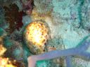 DSC00440.JPG