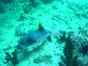 Dateiname=DSC00445.JPG
Dateigröße=525KB
Abmessungen: 1024x768
hinzugefügt am: 05. August 2014 DSC00445.JPG