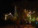 Dateiname=DSC00486.JPG
Dateigröße=371KB
Abmessungen: 1024x768
hinzugefügt am: 05. August 2014 DSC00486.JPG