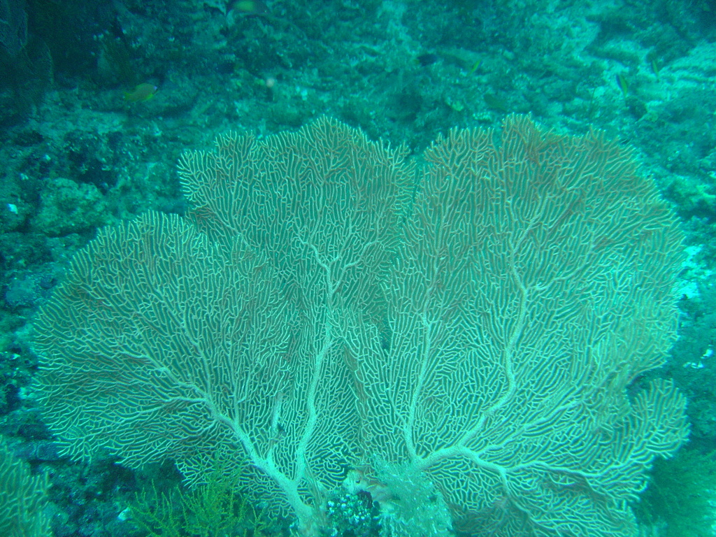 DSC00007.JPG