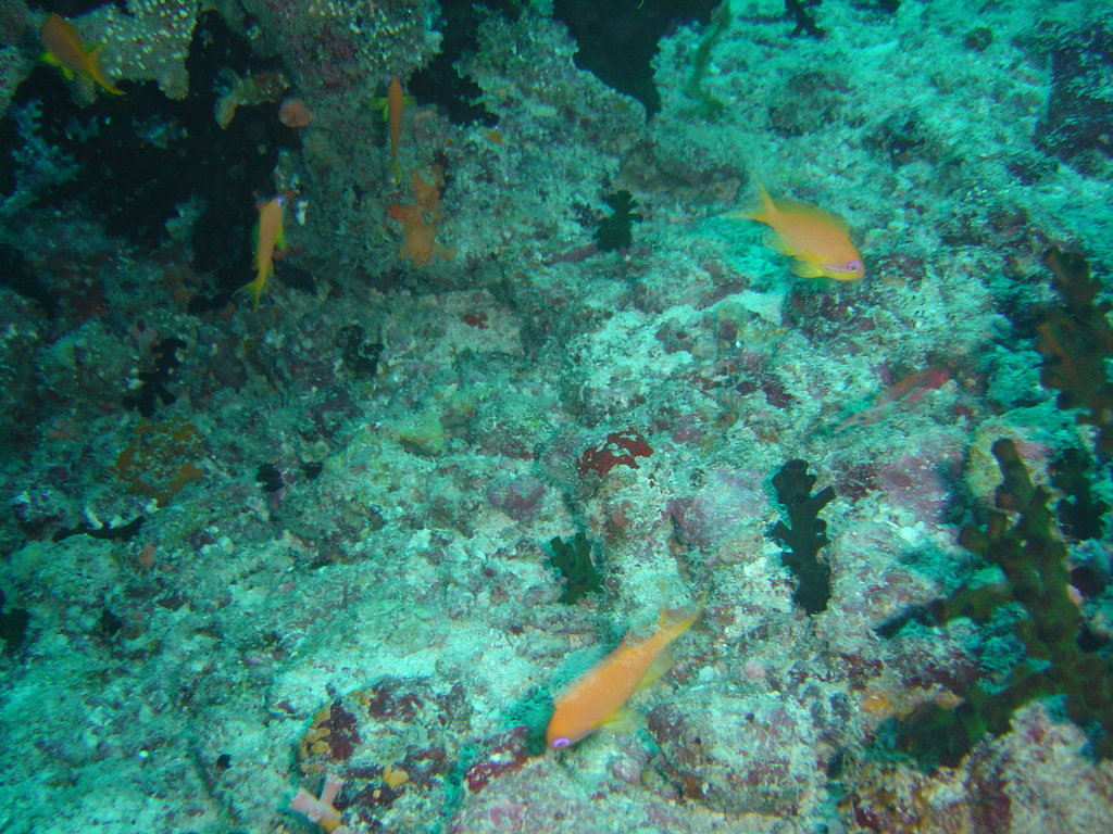 DSC00021.JPG