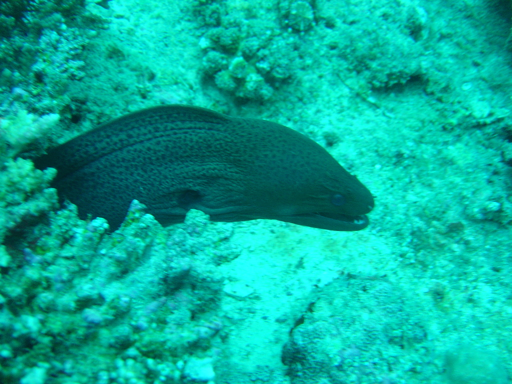 DSC00026.JPG
