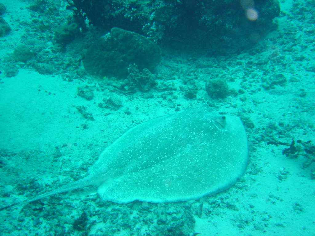 DSC00034.JPG