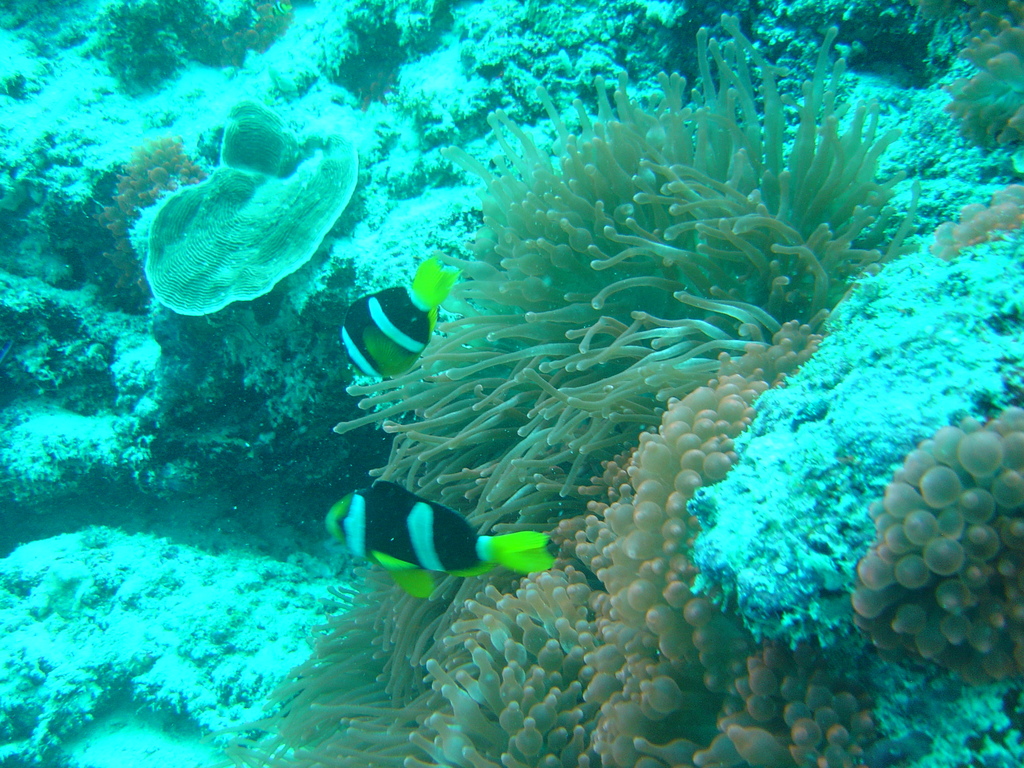 DSC00056.JPG