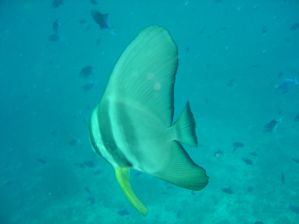 DSC00062.JPG