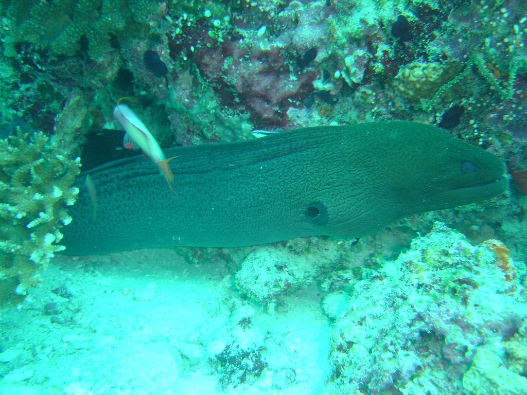 DSC00065.JPG