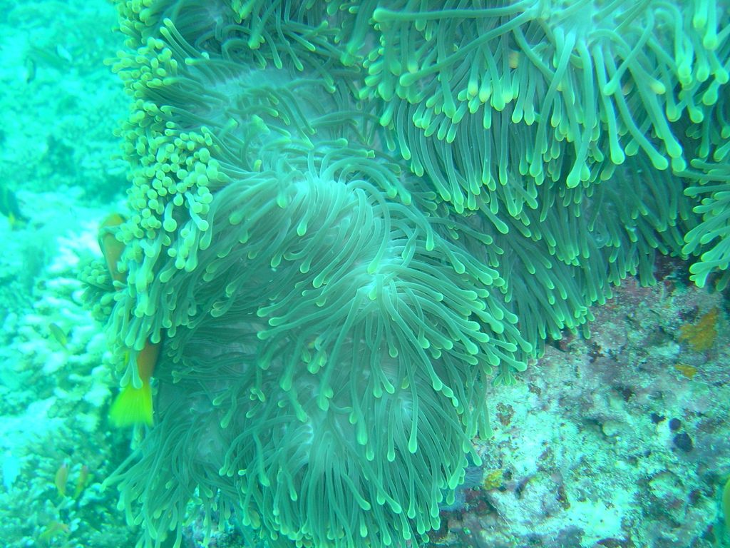 DSC00068.JPG