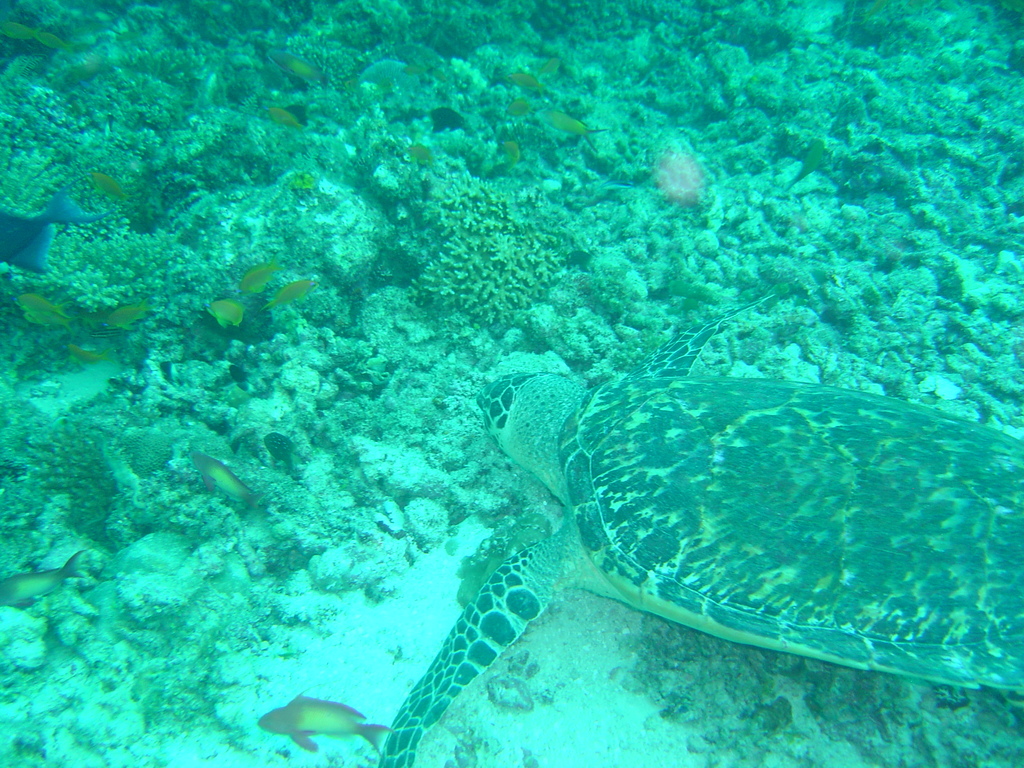 DSC00072.JPG