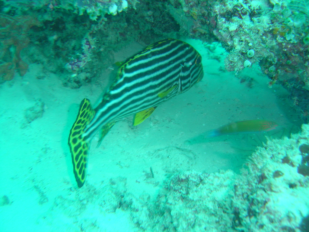 DSC00074.JPG