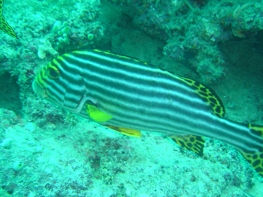 DSC00076.JPG