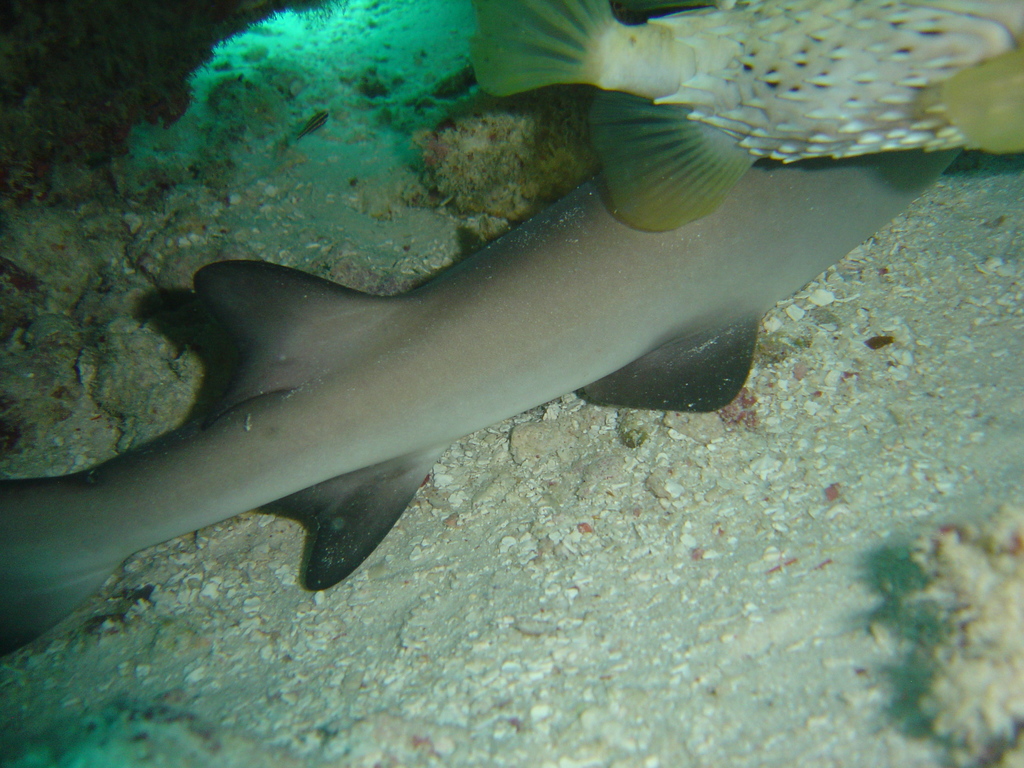 DSC00080.JPG