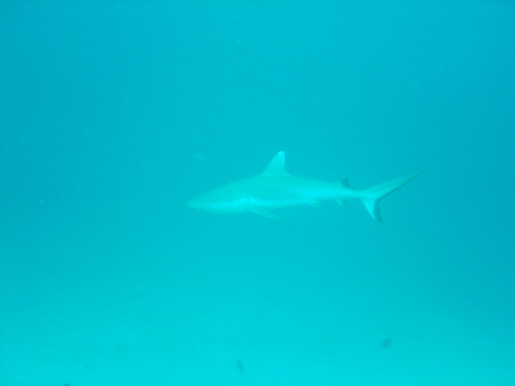 DSC00083.JPG