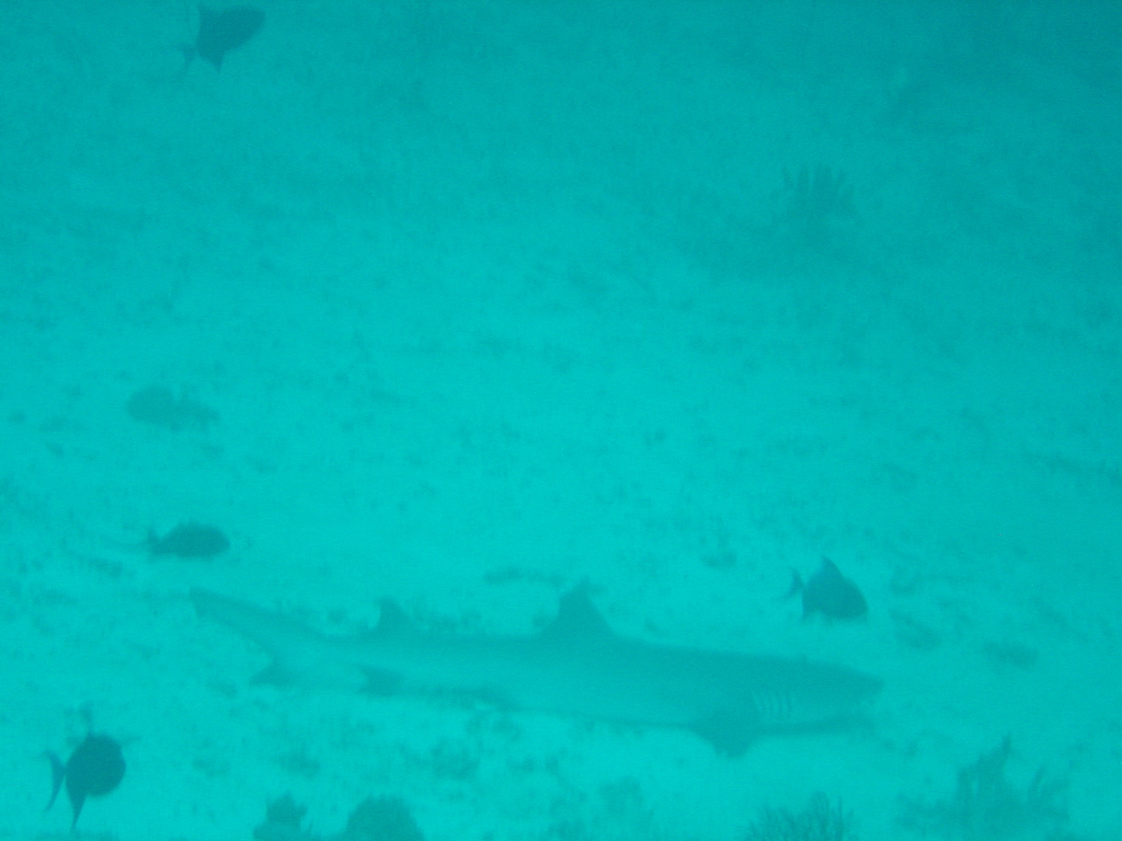 DSC00086.JPG