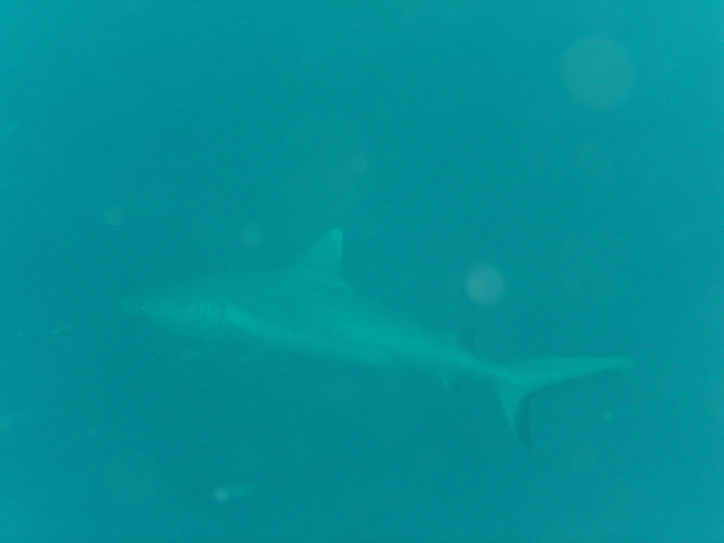 DSC00087.JPG